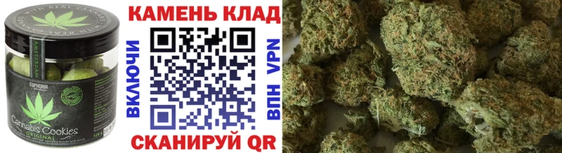 продажа наркотиков  Чадан  Canna-Cookies марихуана 