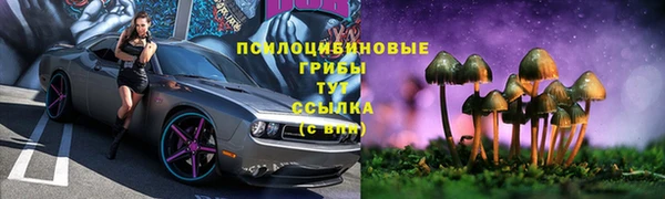 дживик Бугульма