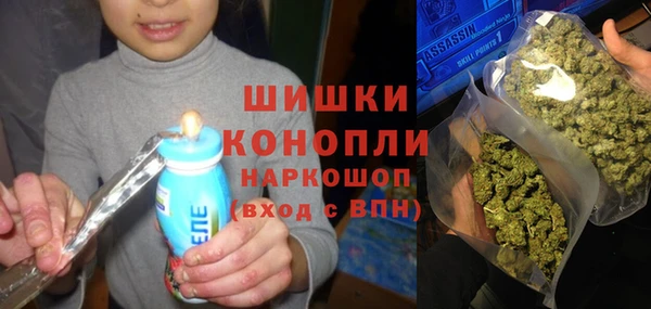 стаф Горняк