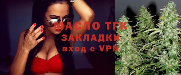 стаф Горняк