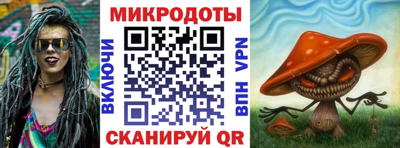 Галлюциногенные грибы MAGIC MUSHROOMS  цена наркотик  mega ТОР  Чадан 